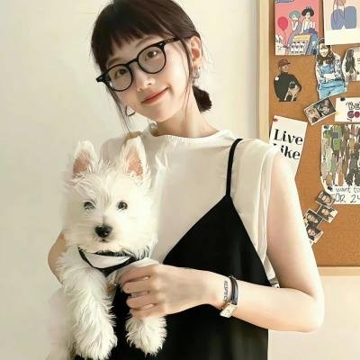 我的英雄学院最终季